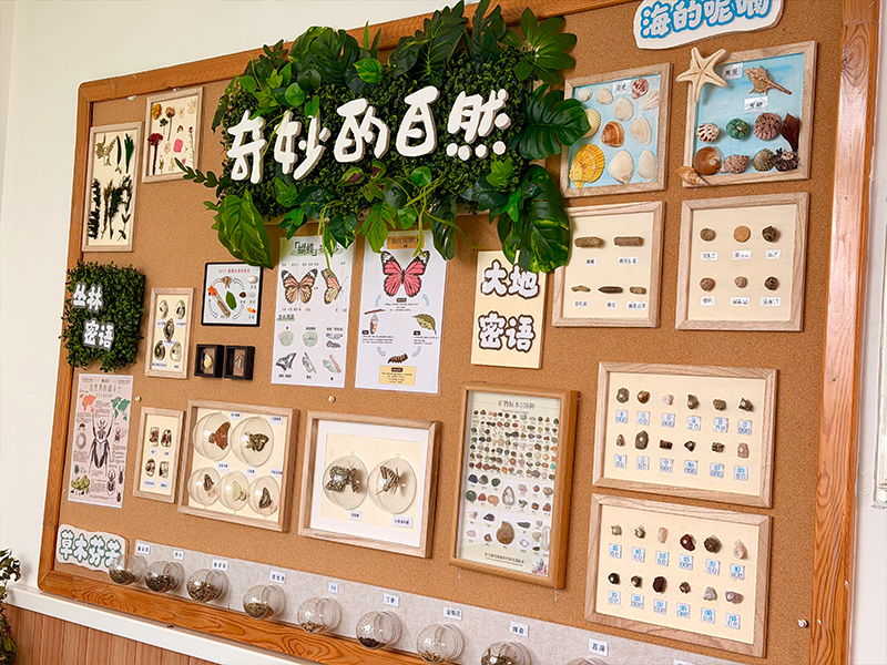 环境展示